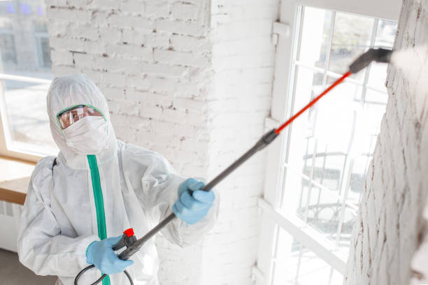 Best Air Quality Testing for Mold Spores  in Eagle Grove, IA