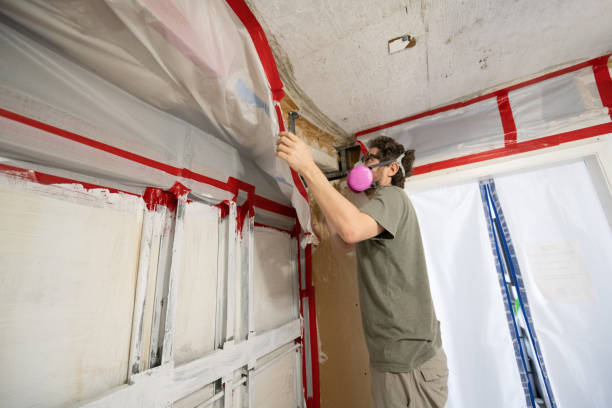 Best Environmental Consulting for Mold Prevention  in Eagle Grove, IA