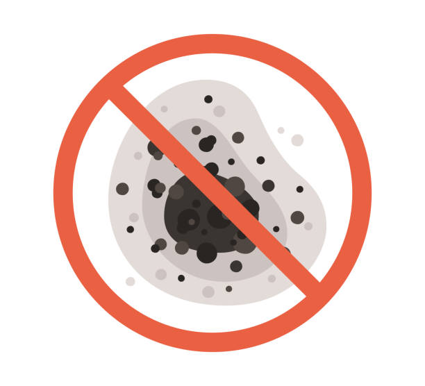 Best Mold Prevention Services  in Eagle Grove, IA