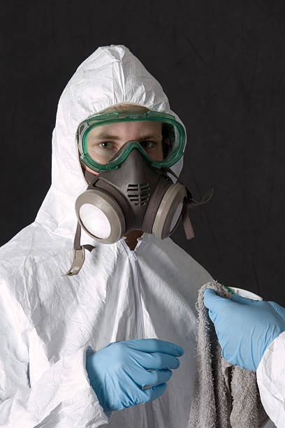 Best Dehumidification Services  in Eagle Grove, IA